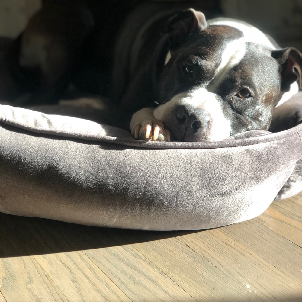 Meet your Posher, Alexis